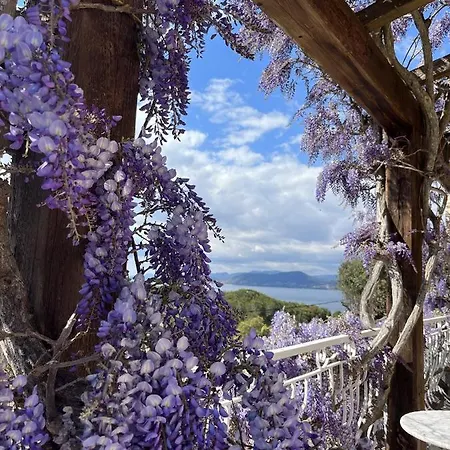 Vakantiehuis Lilause Hyères